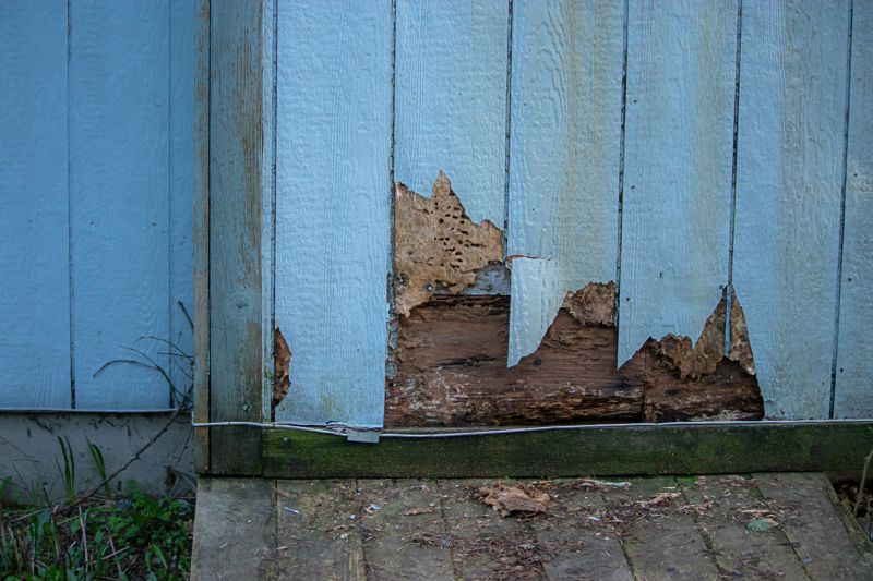 Siding Repair and Replacement