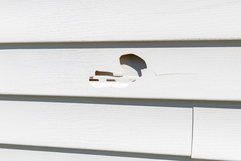 Vinyl Siding Repair Expert Image 2