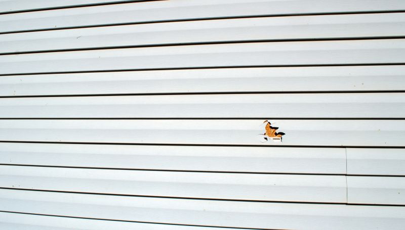 Vinyl Siding Repair Service Image 2